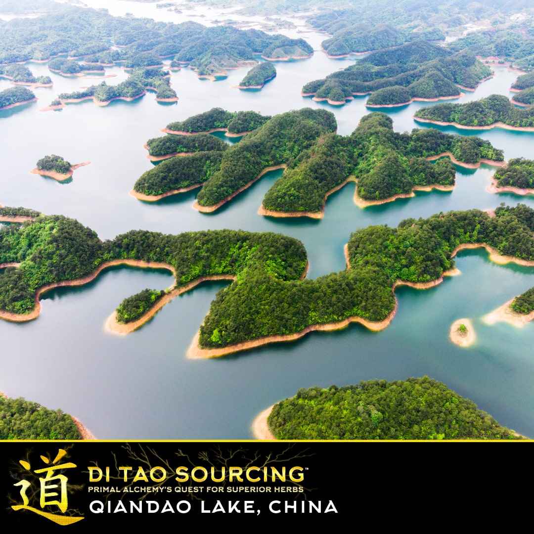Di tao quiandao lake China