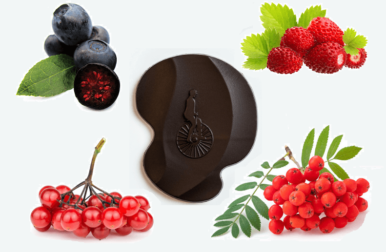 Lesní Bobuloviny V Čokoládě (Litva-Forest Berries) -40g (Naive)