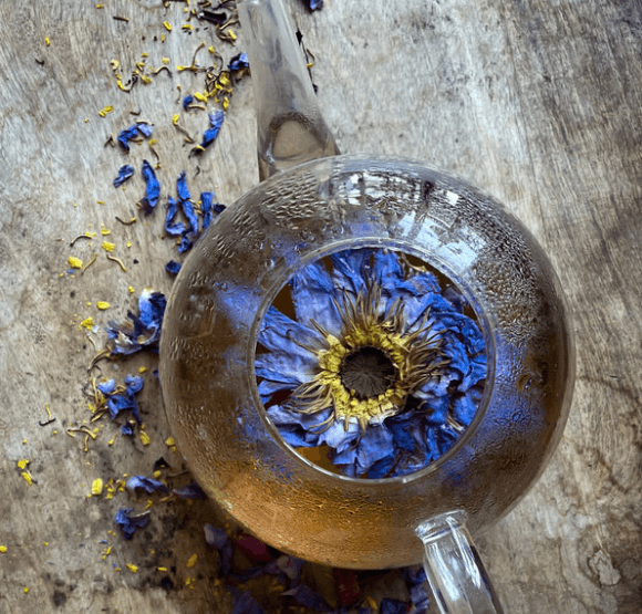 Blue lotus amundi konvice