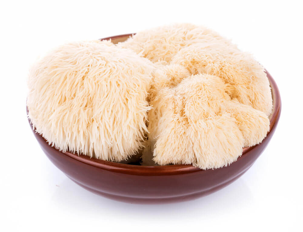 BIO LVÍ HŘÍVA EXTRAKT (Hericium-prášek) -100g (AjemFiT)
