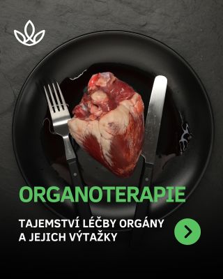 🥩 Už ve starověkých kulturách se věřilo, že „podobné podporuje podobné“. Orgán posiluje orgán – játra játra, srdce srdce....