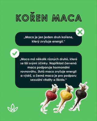 Maca (Lepidium meyenii) je rostlina, která roste ve vysokých nadmořských výškách peruánských And. Tento silný adaptogenní...