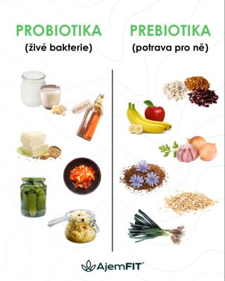 🦠 Probiotika vs. Prebiotika Jedno do střev bakterie přináší, druhé jim pomáhá přežít a růst. 💪 👉 Probiotika (jogurt,...
